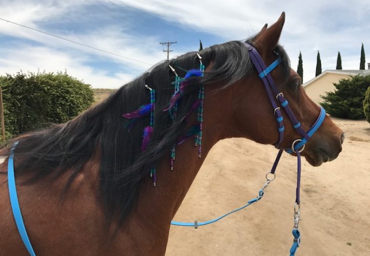 Custom Colors Overlay<br>Beta Headstalls (Special Order)