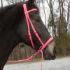 Beta Headstall - Bright Colors