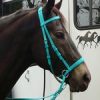 Beta Headstall - Bright Colors