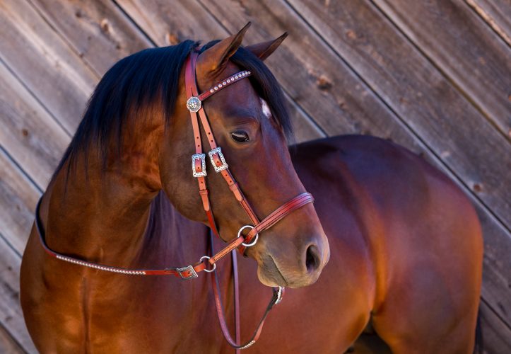 Deluxe Western Headstall<br> with Antiqued Spots