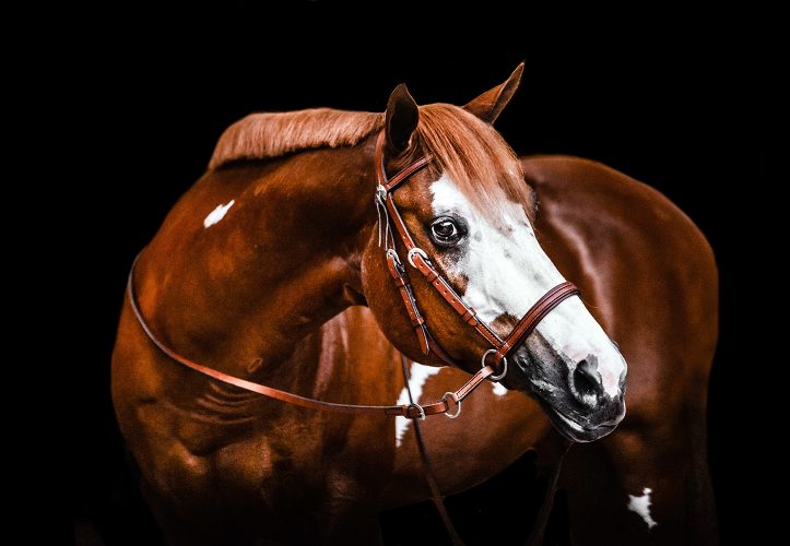 Western Leather Headstall